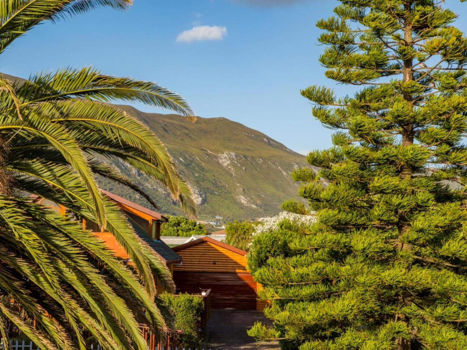 Two Palm House - Vermont Hermanus Quarto foto